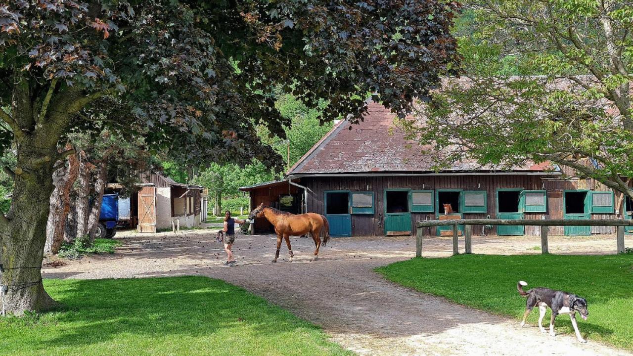 Muehle In Der Pferdewelt Reichenau Leilighet Eksteriør bilde